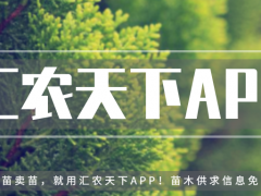 誰說北方地區不能發展珍貴樹種？強烈推薦這18個樹種！