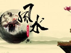 “在風水學上，綠植到底怎么擺放？”